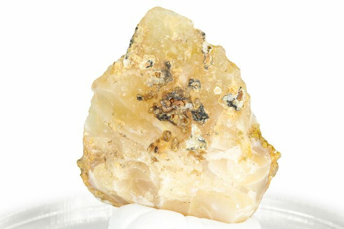 Rough Oregon Fire Opal #330509